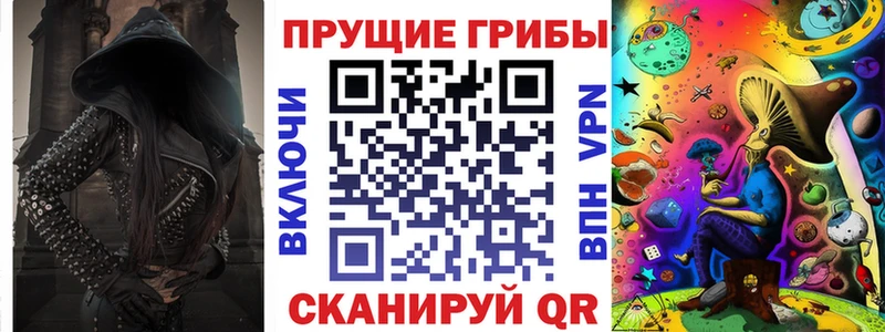 OMG маркетплейс  цена наркотик  Трубчевск  Псилоцибиновые грибы мицелий 